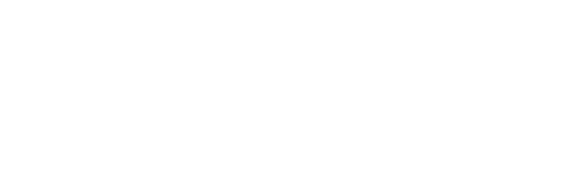 Nokian dekk